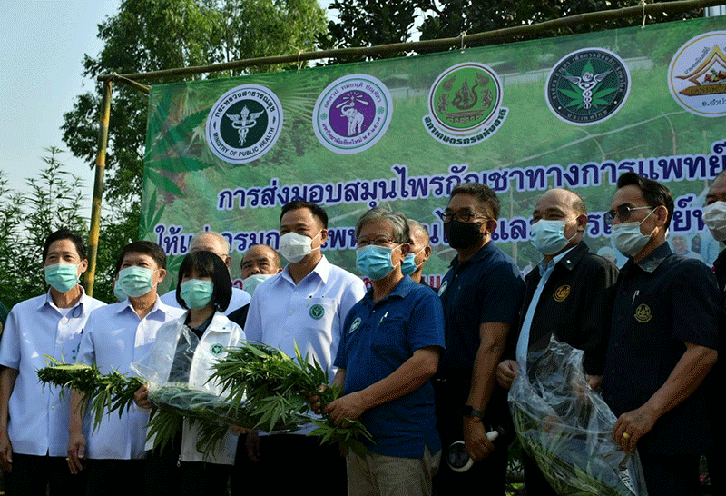 อนุทินเยี่ยมชมฟาร์มปลูกกัญชาของวิสาหกิจชุมชนเพชรลานนา