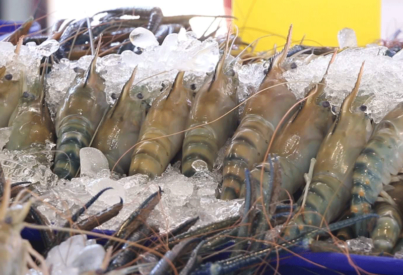 อาหารซีฟู้ด