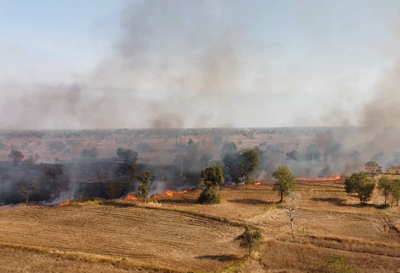 ไฟไหม้นา