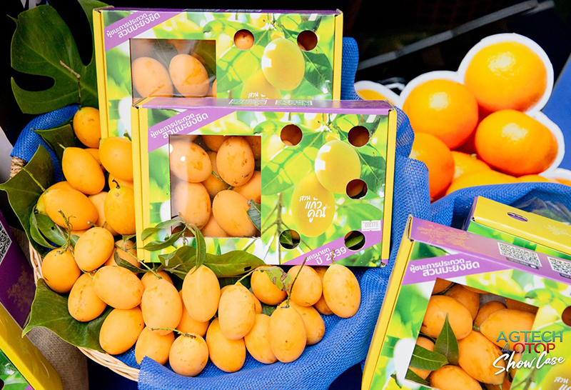 เอ็นไอเอ ตลาดเพื่อเกษตรกร