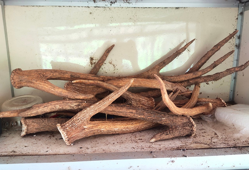 ปปง. ตัดท่อน้ำเลี้ยงอาชญากรรมข้ามชาติ