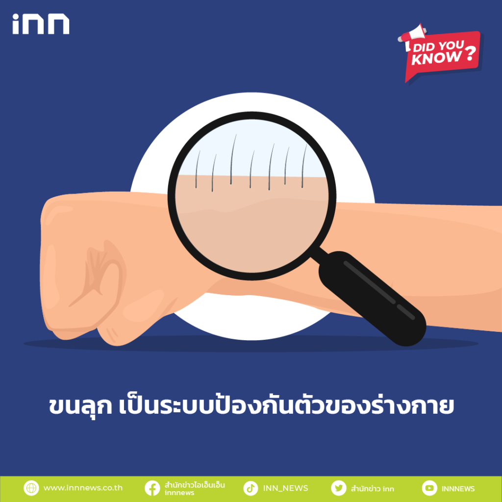 ขนลุก เป็นระบบป้องกันตัวของร่างกาย