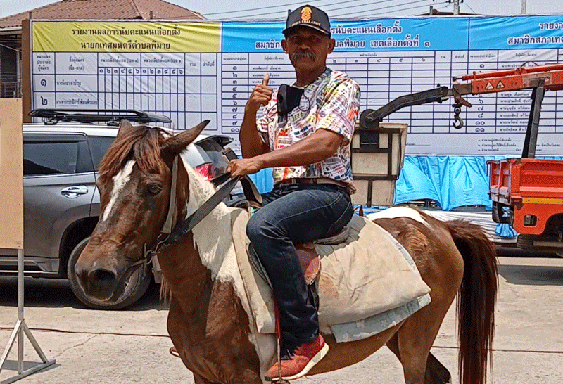 ครูมวยโคราช ขี่ม้ามาเลือกตั้ง 2