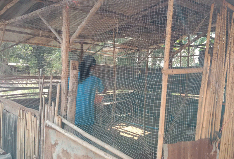 ถูกอ้างชื่อจ่ายภาษี 3