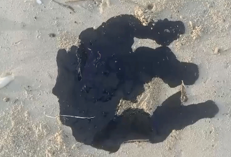 ทะเล หัวไทร