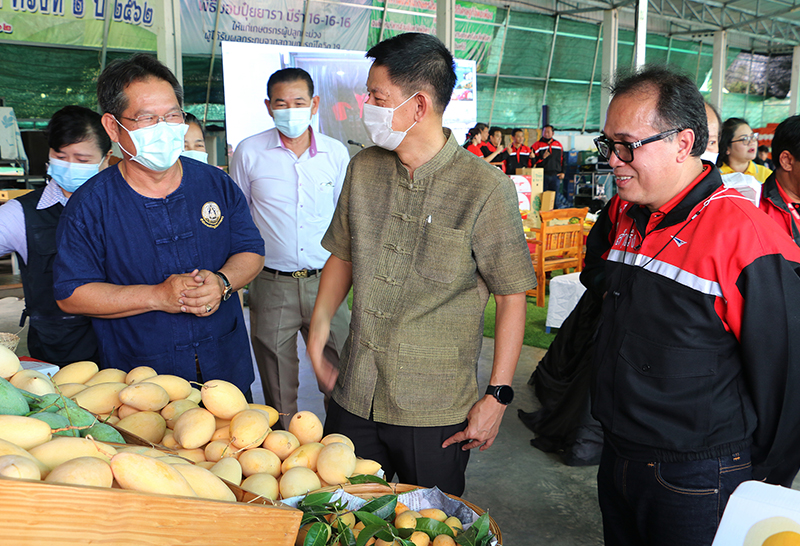 ขายมะม่วง ผ่านบริษัทไปรษณีย์ไทย