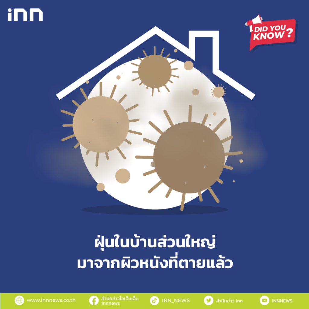 ฝุ่นในบ้านส่วนใหญ่มาจากผิวหนังที่ตายแล้ว