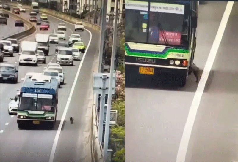 รถเมล์166