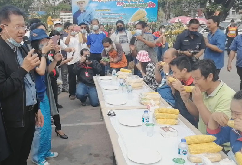 งานแข่งแทะข้าวโพดหวานโคราช