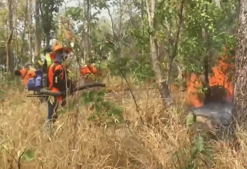 ไฟป่า-ชัยภูมิ---1