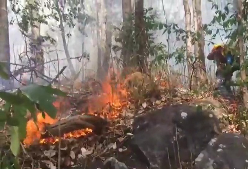 ไฟป่า-ชัยภูมิ--2