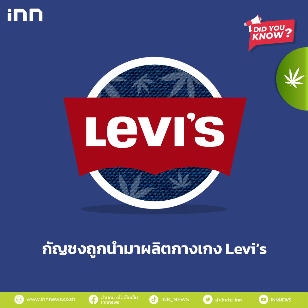 กัญชงถูกนำมาผลิตกางเกง Levi’s