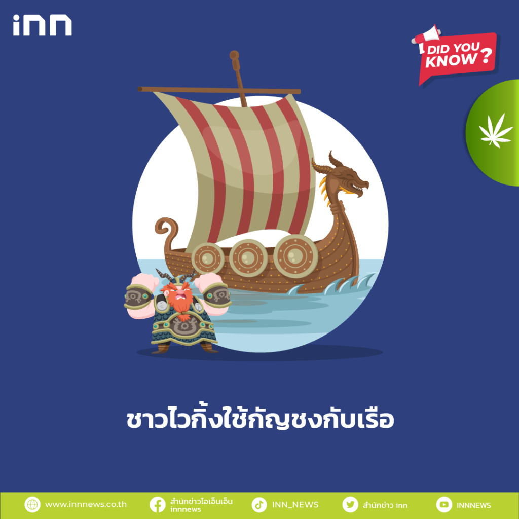 ชาวไวกิ้งใช้กัญชงกับเรือ