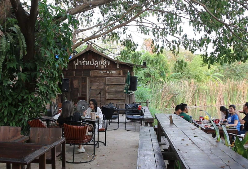 ไจแอนท์วู้ด 3