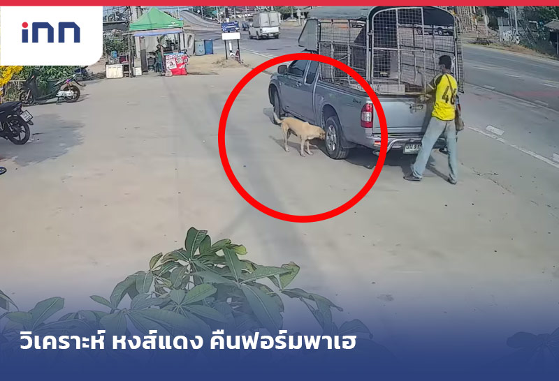 เฉลยคลิป"น้องหมา"ดิ้นตายปริศนา?