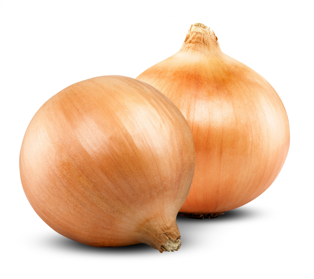 หัวหอมใหญ่