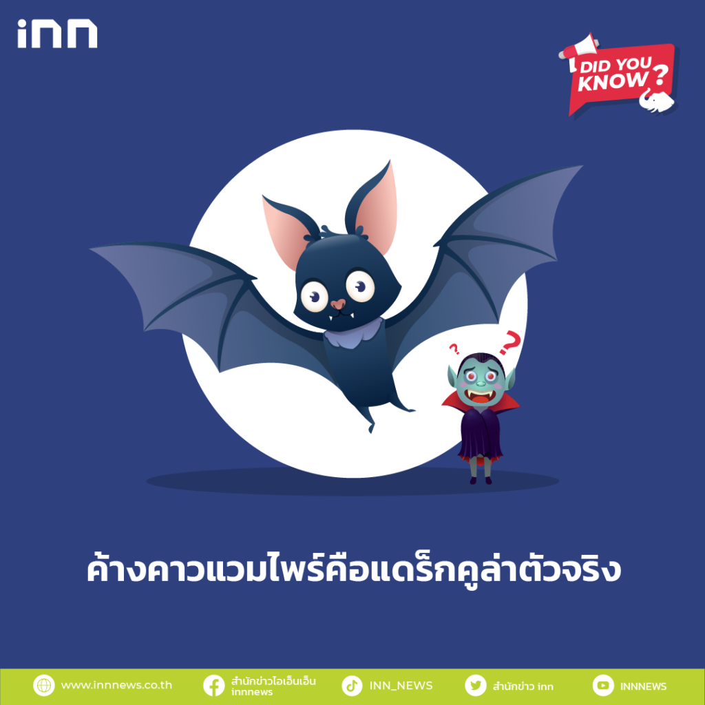 ค้างคาวแวมไพร์คือแดร็กคูล่าตัวจริง