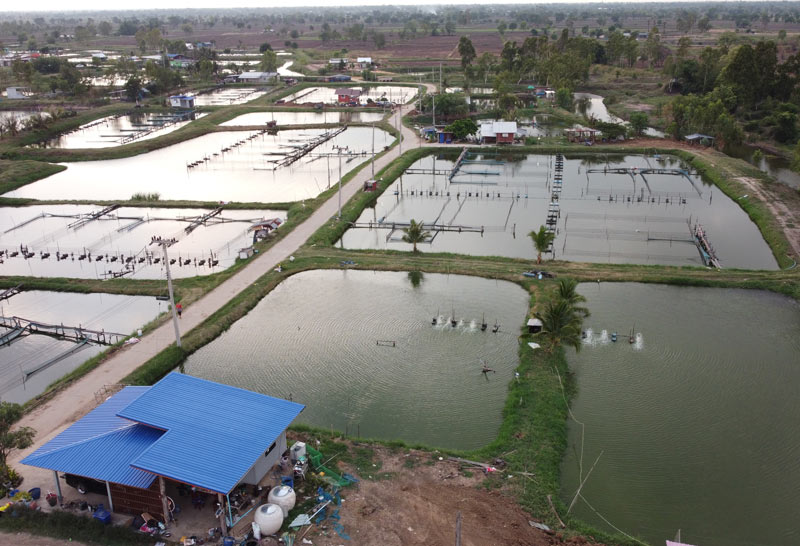 เลี้ยงปลากระชังเดือดร้อนหนักโควิดปิดตลาด