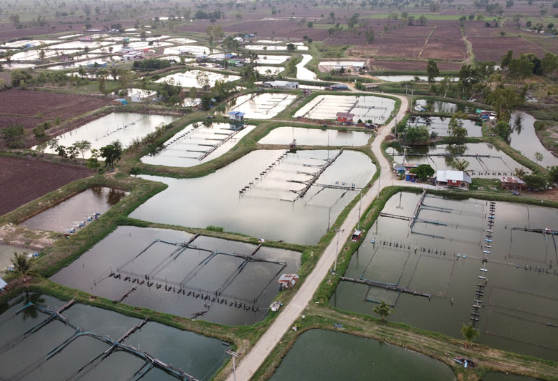 เลี้ยงปลากระชังเดือดร้อนหนักโควิดปิดตลาด