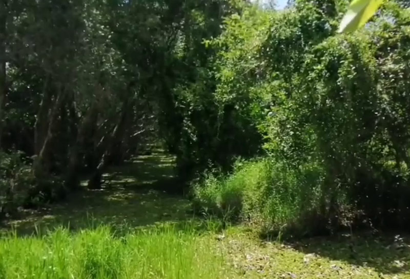 เร่งล่าตัวเฒ่า66ปีมีดฟันยาย74ปีดับ