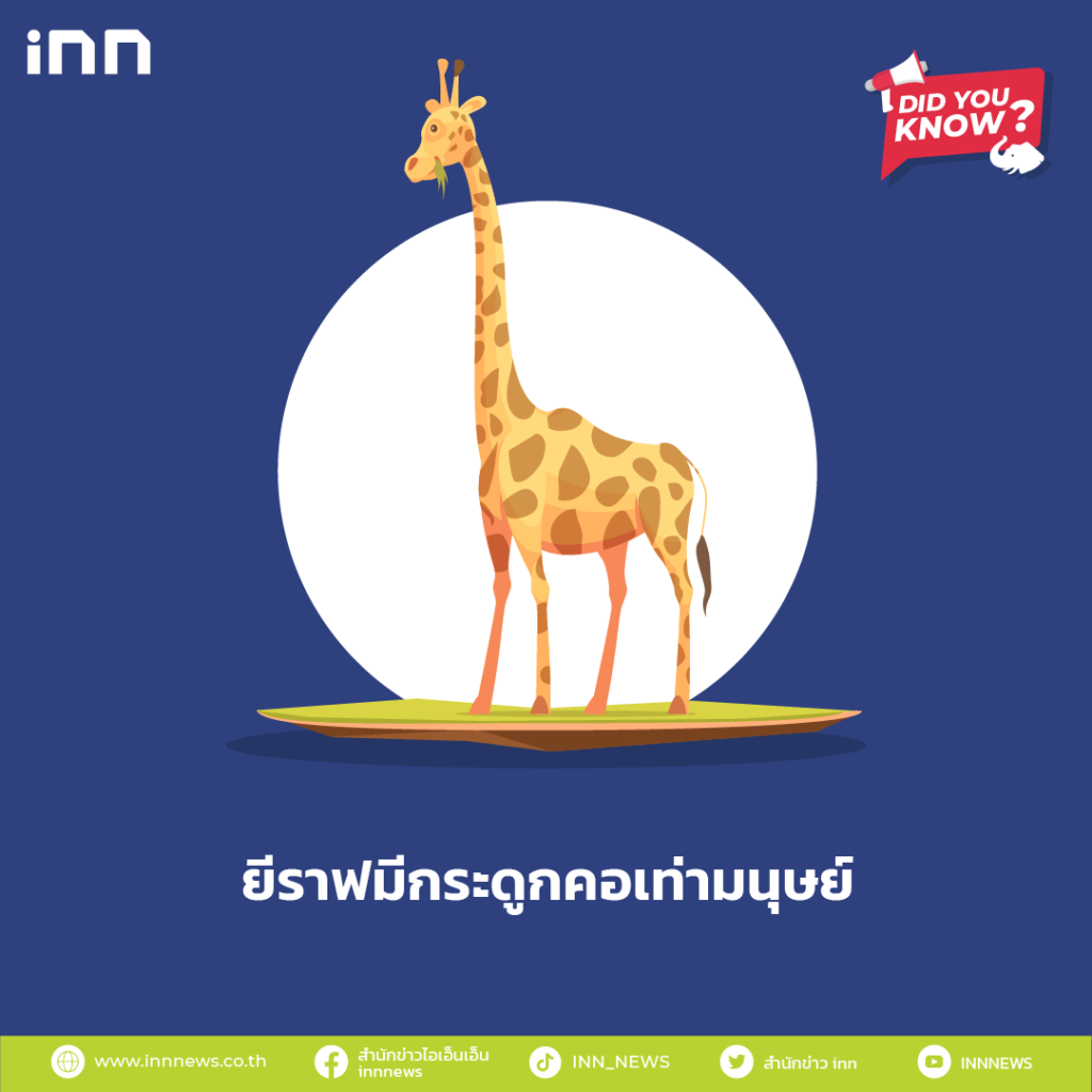 ยีราฟมีกระดูกคอเท่ามนุษย์