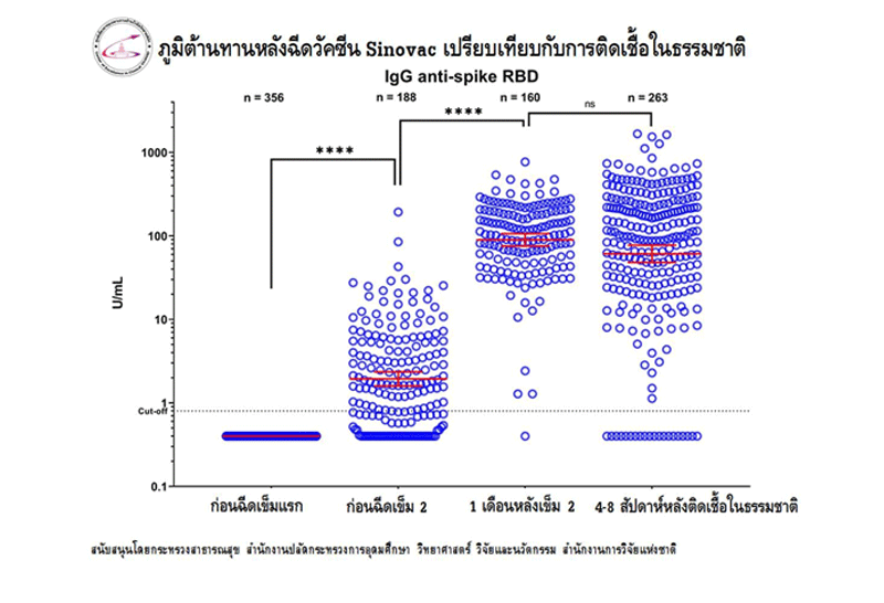 ซิโนแวคประสิทธิภาพสูง ภูมิต้านทานดีมาก