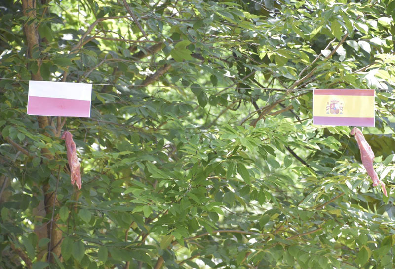 สิงโตขาวทายผลคืนนี้สกอตแลนด์ชนะอังกฤษ