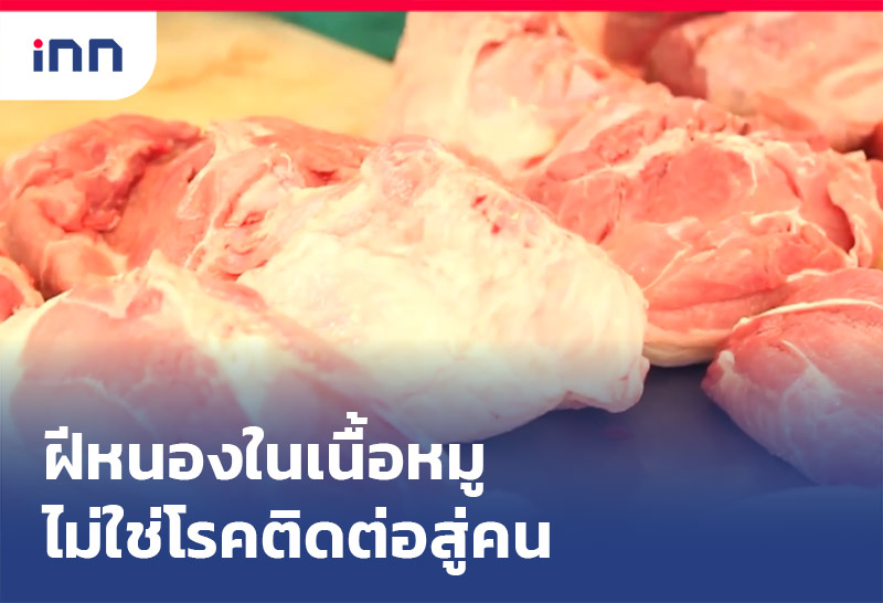ฝีหนองในเนื้อหมู ไม่ใช่โรคติดต่อสู่คน
