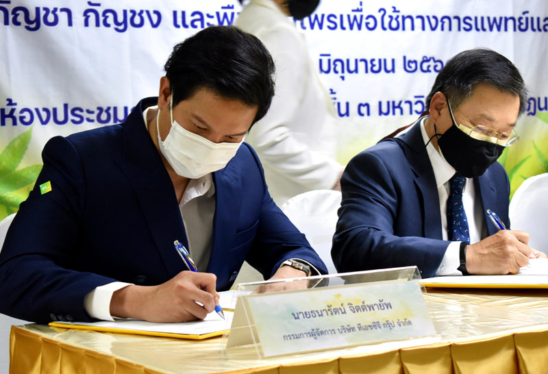 มรภ.นครสวรรค์ จับมือเอกชนทำ MOU วิจัย ปลูกและแปรรูปกัญชา-กัญชง