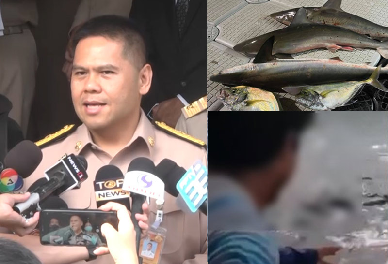 "วราวุธ"ลั่นหนักแผ่นดินสั่งเอาผิดยิงฉลามดำ