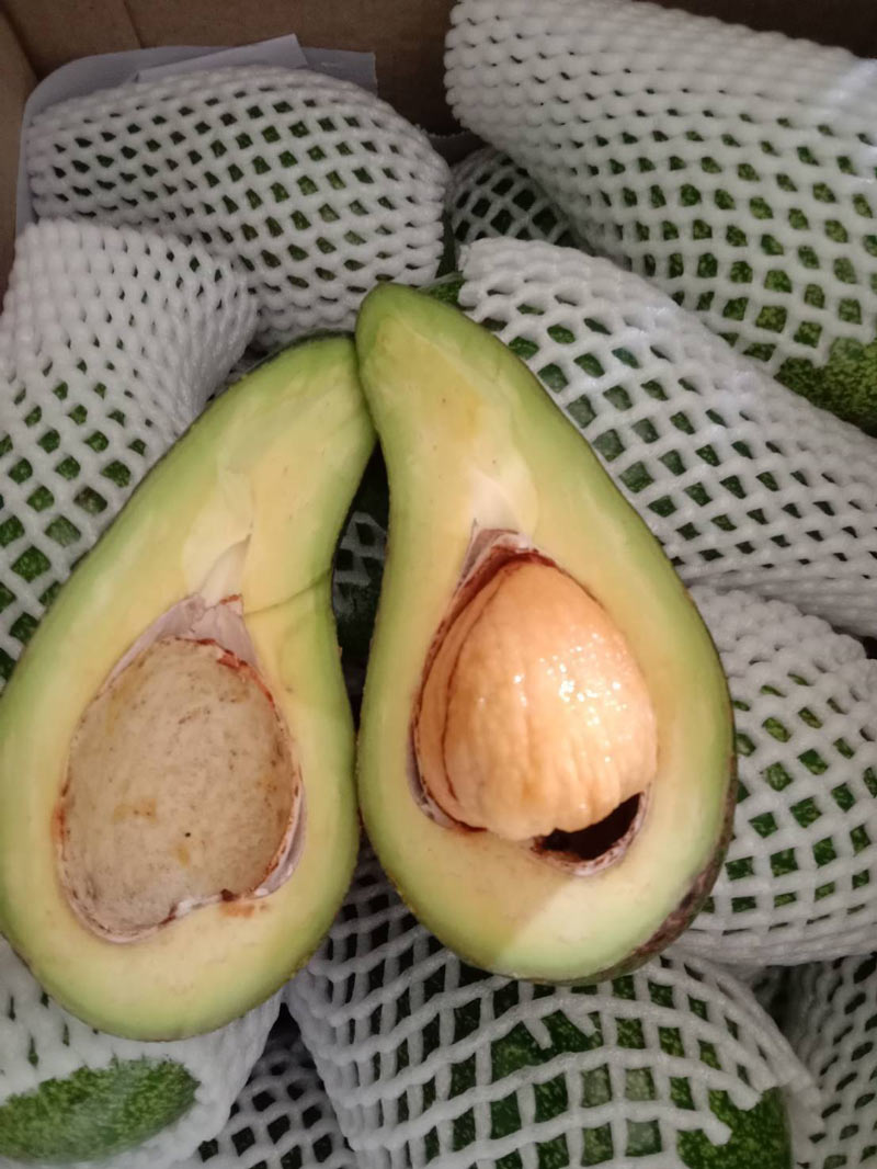 อโวคาโด2 ช้อป เรียก ยิ้ม