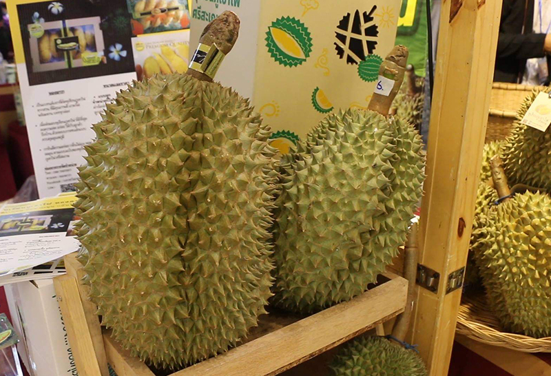 ทุเรียนภูเขาไฟศรีษะเกษ