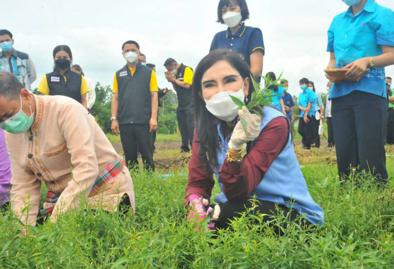 นางสาวมนัญญา ไทยเศรษฐ์ รมช.กระทรวงเกษตรและสหกรณ์