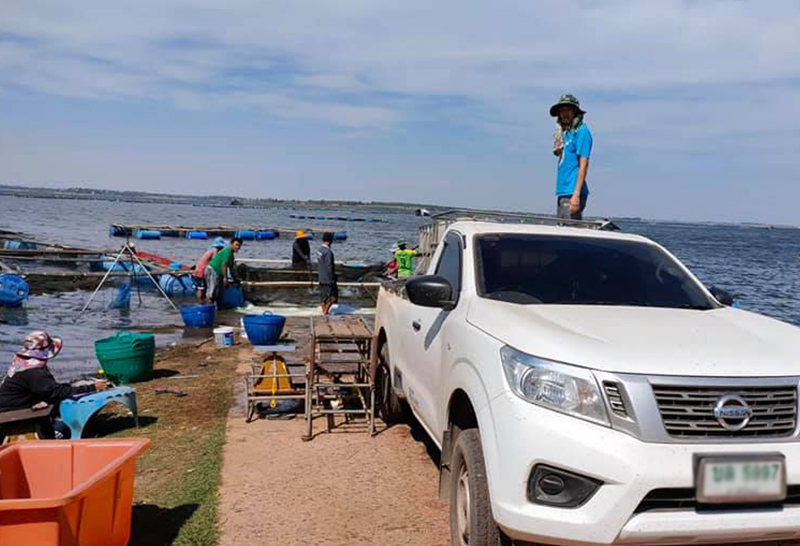 ตลาดปลากระชัง ยอดขายตกฮวบจากภาวะปกติมากกว่า 50%