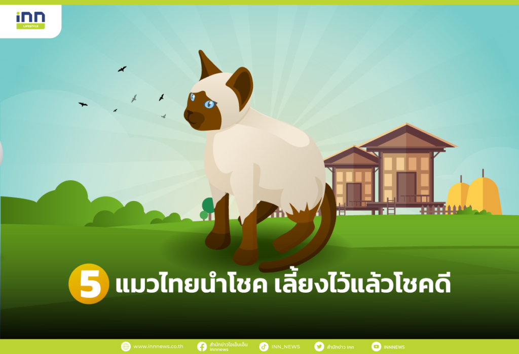 5 แมวไทยนำโชค