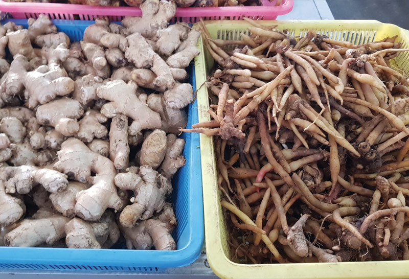 ชัยภูมิกระชายต้านโควิดราคาพุ่ง