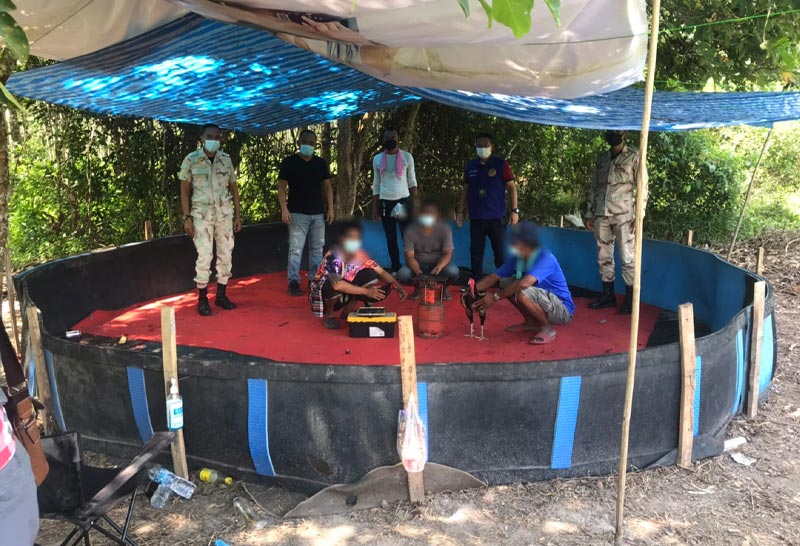 บุกจับบ่อนไก่ชน 2