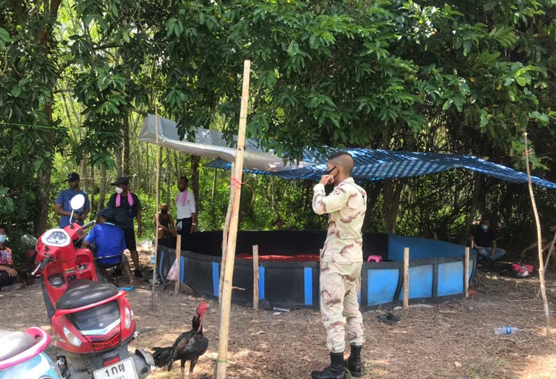 บุกจับบ่อนไก่ชน