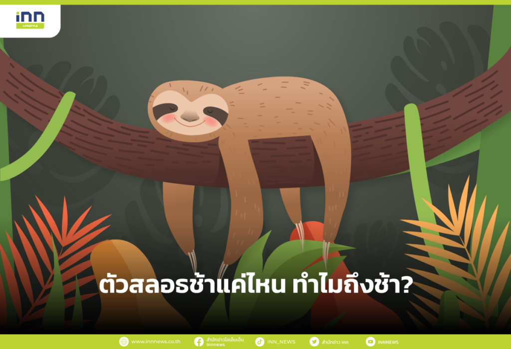 ตัวสลอธ