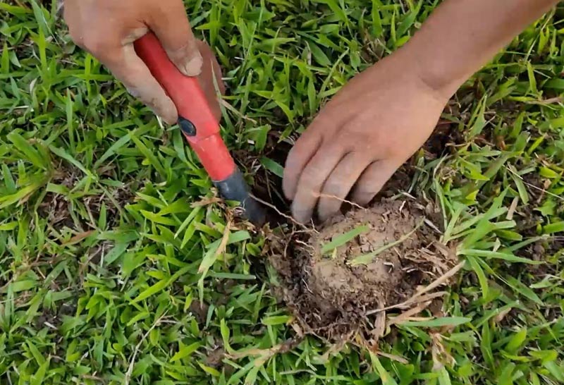 นักขุดหาสมบัติ-สงขลา 5