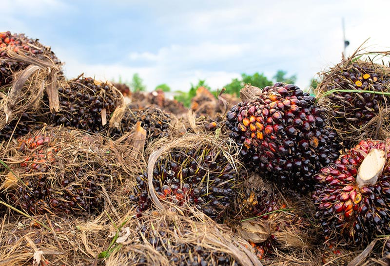 สนค.ลุยเชื่อมโยงข้อมูลสินค้าเกษตร