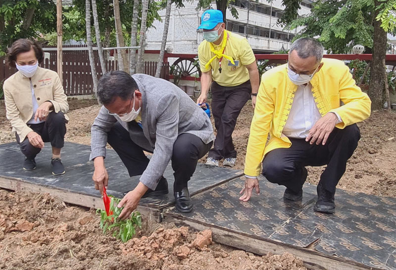 "สมศักดิ์"ส่งเสริมปลูกฟ้าทะลายโจรในเรือนจำ