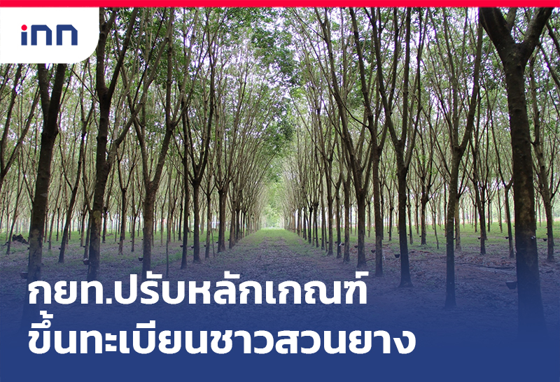 เกาะสถานการณ์ 11.30 น. กยท.ปรับหลักเกณฑ์ ขึ้นทะเบียนชาวสวนยาง
