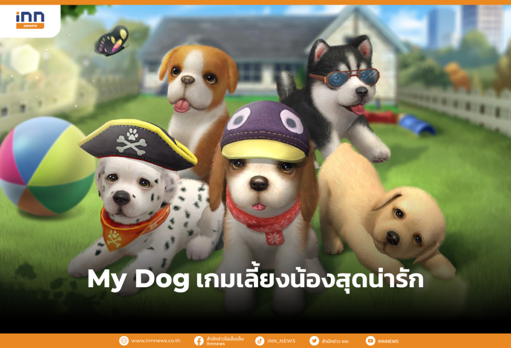 My Dog เกมเลี้ยงน้องสุดน่ารัก
