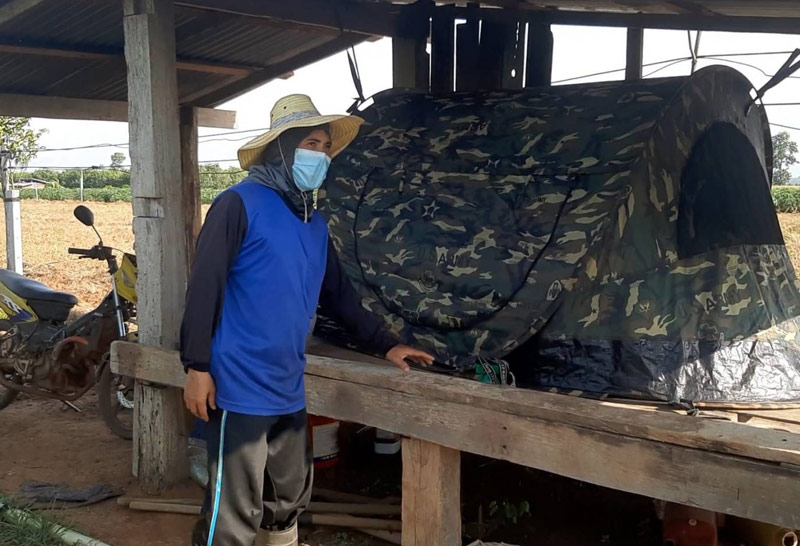 ขโมยสมุนไพร-ไร่-ข่า-3