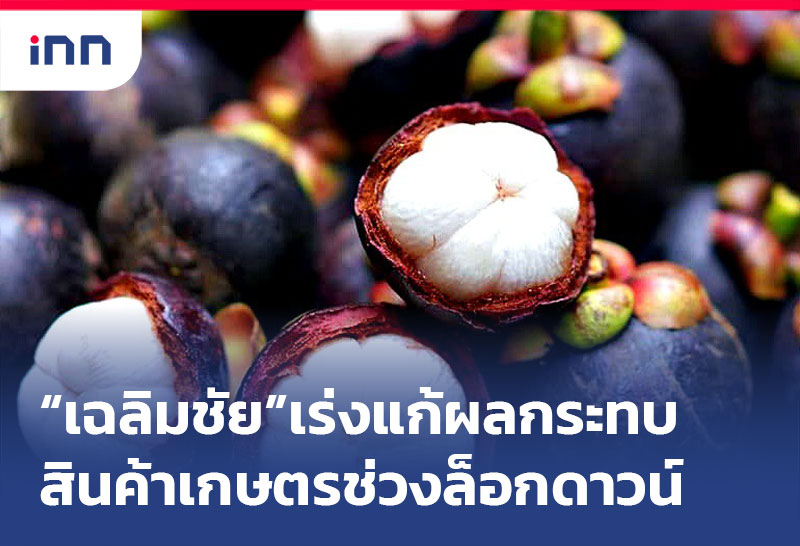 ข่าวต้นชั่วโมง 08.00 น.