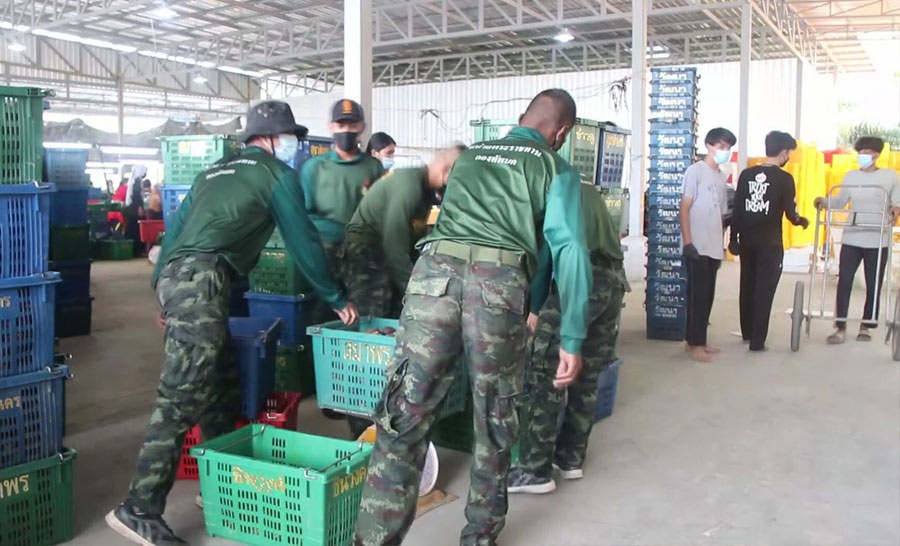 ทหารติดโควิดจากล้งมังคุดนครศรีฯ6นาย