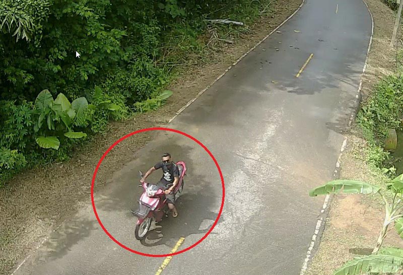 ฆ่าแหม่มสวิส