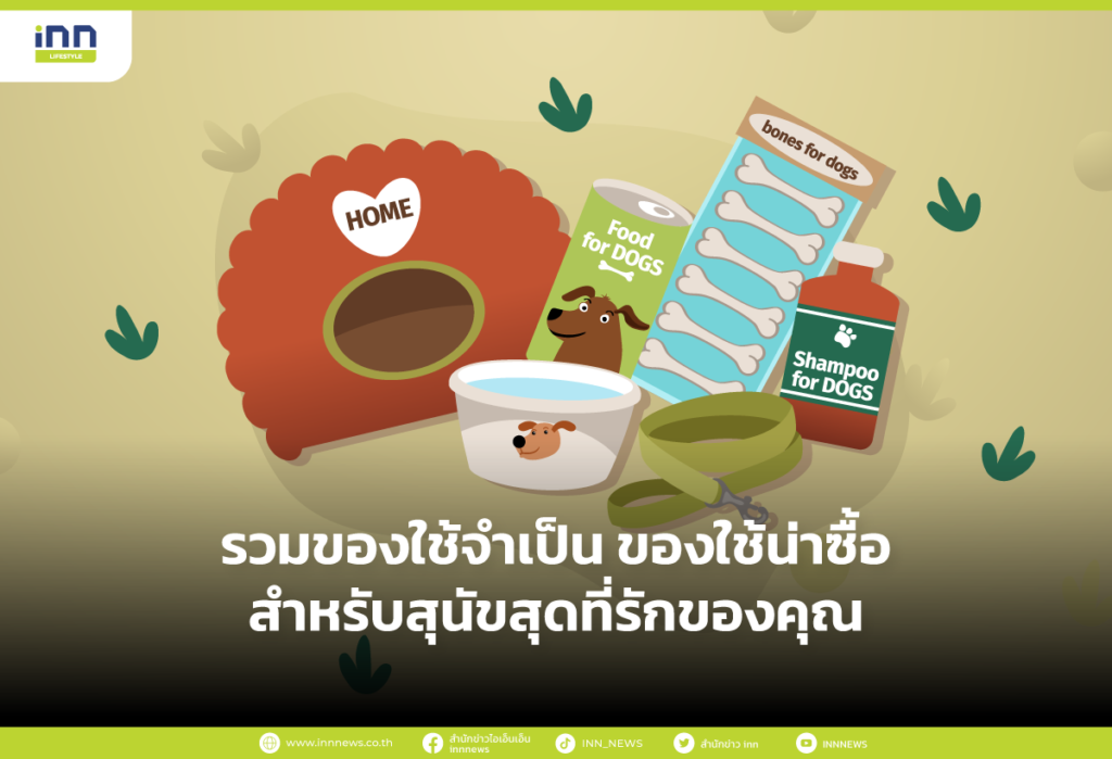 รวมของใช้จำเป็น ของใช้น่าซื้อสำหรับสุนัขสุดที่รักของคุณ
