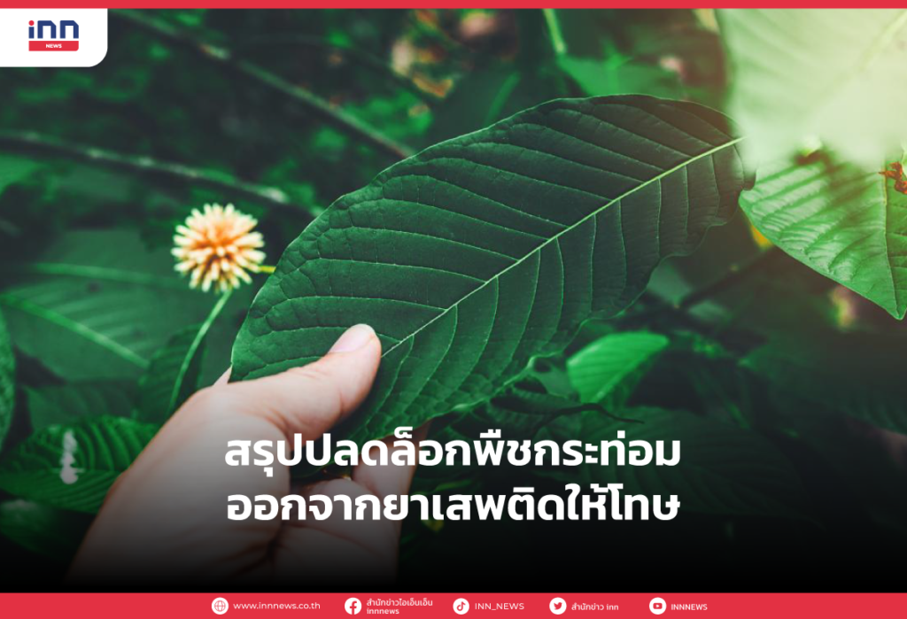 สรุปปลดล็อกพืชกระท่อม